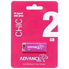 Advance 2GB Flashdisk(org)