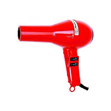 Fransen Blow Dryer