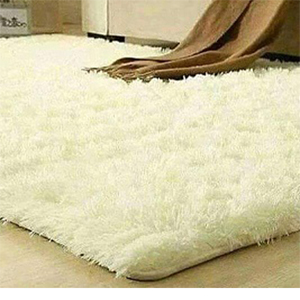 BEAUTIFUL FLUFFY CARPET (6 BY 9)